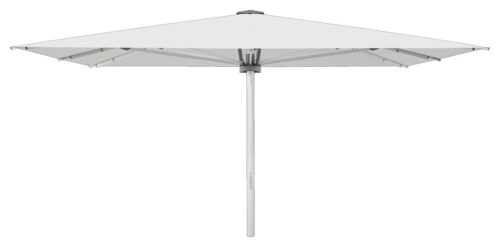 23200301171500.jpg PALAZZO Style