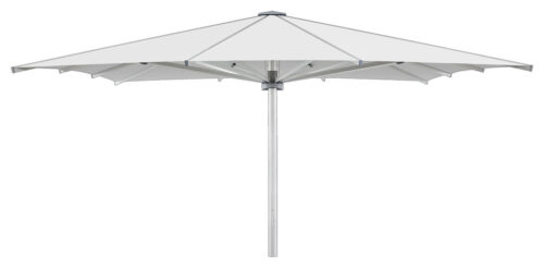 34200501171500.jpg PALAZZO Royal